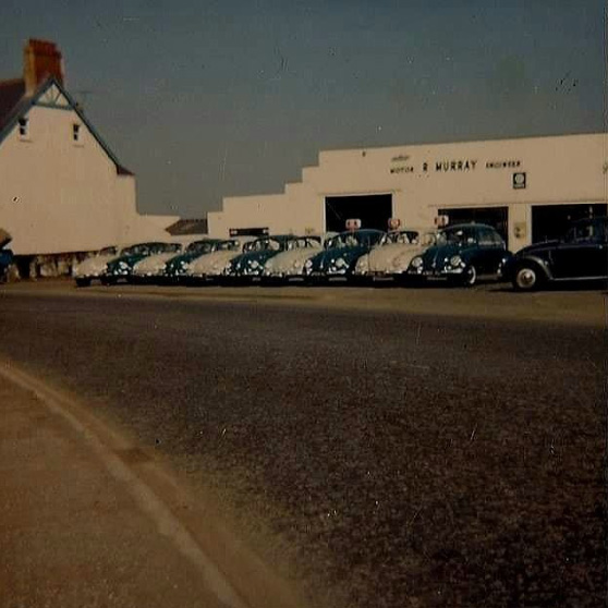 Historic photo of R. Murray VW garage with a row of Volkswagen Beetles lined up for sale outside.